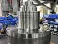 Riduttori cicloidali per centrifughe